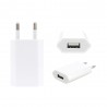 Spina presa muro caricatore compatibile per Iphone